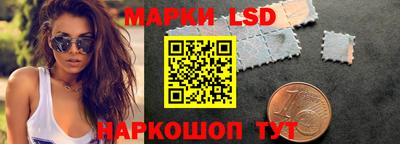 СК Новозыбков