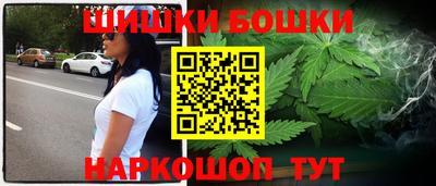 СК Новозыбков