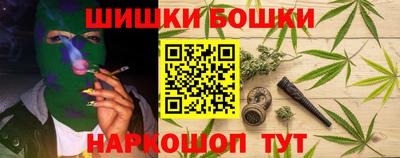 СК Новозыбков