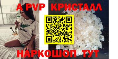 СК Новозыбков