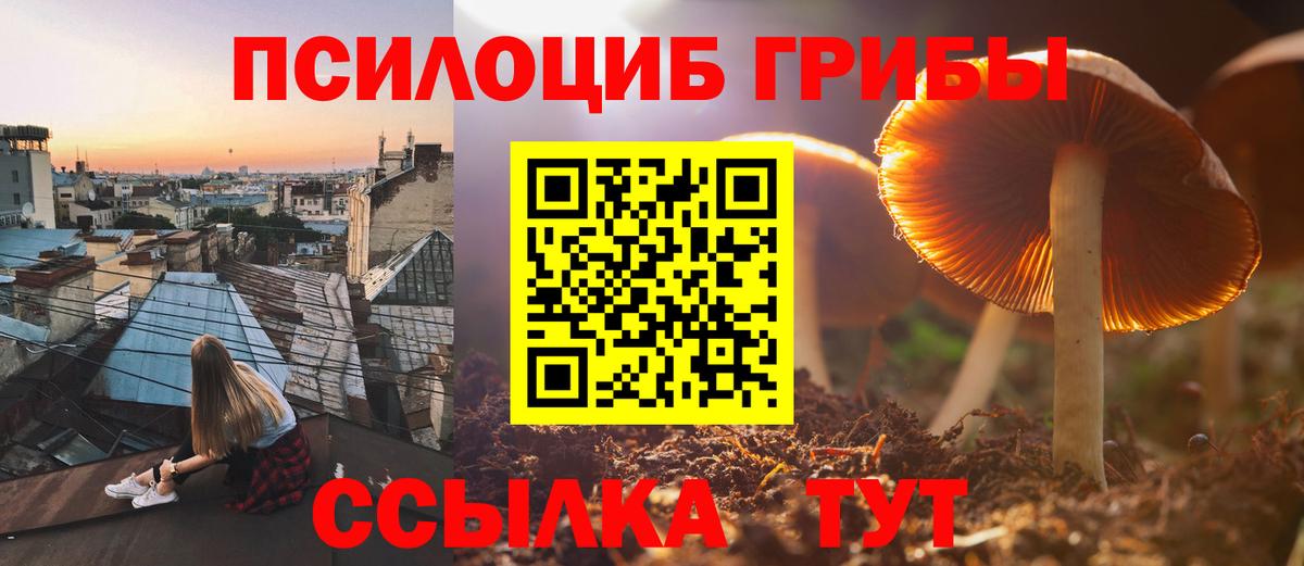 Псилоцибиновые грибы Cubensis  где найти наркотики  Сургут  Псилоцибиновые грибы Magic Shrooms  Вход с VPN 